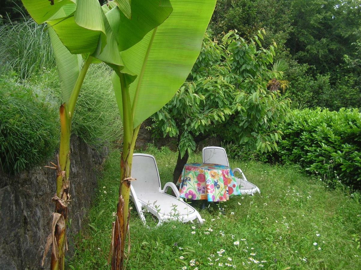 Vacation Home Lucija Slatina  Buitenkant foto